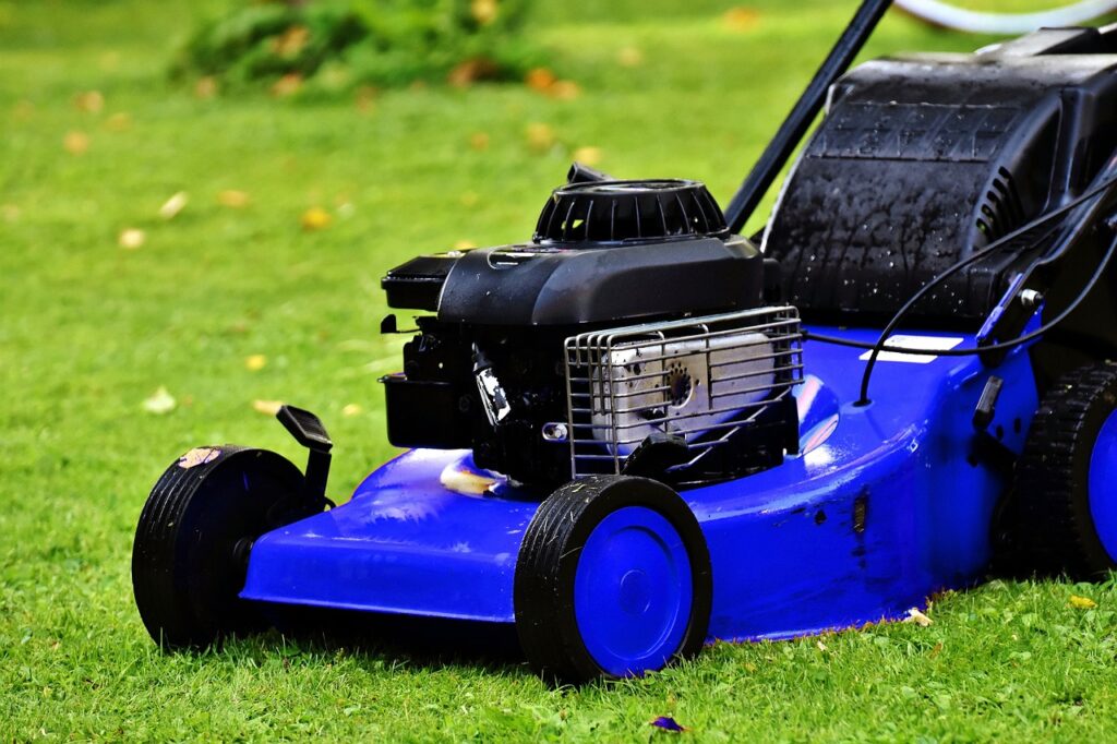 blue lawn mower, lawn mower, lawn mowing