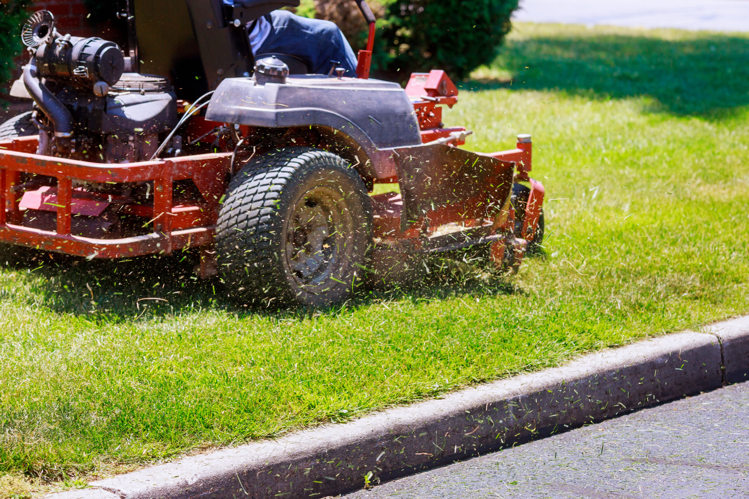 Ruts in Your Lawn