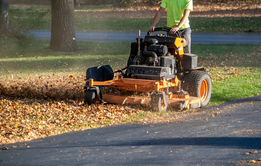 fall yard cleanup